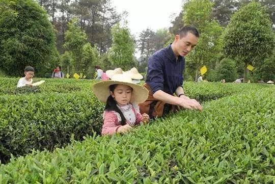 古筝临安遗恨曲谱