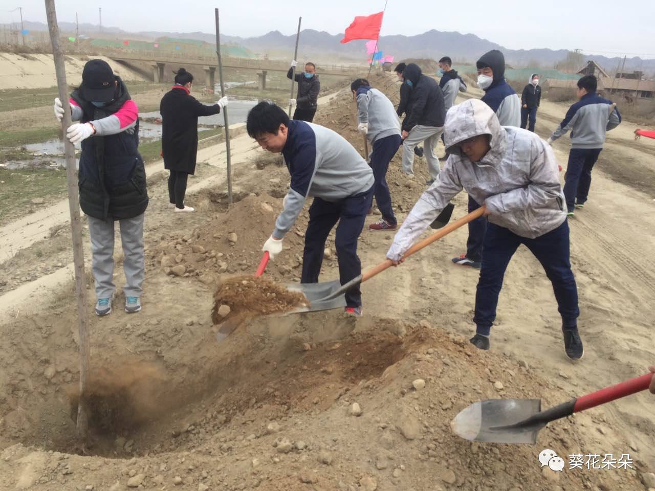 遵化有多少人口_遵化:因为几棵杨树,一家好几口被抓!