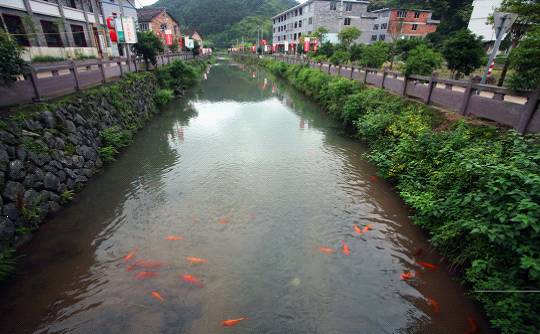 浙江泰顺人口_浙江泰顺廊桥