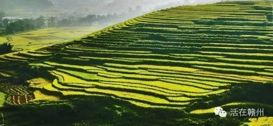 信丰县乡镇gdp排名_信丰县万隆乡打造五渡港景区助推乡村振兴