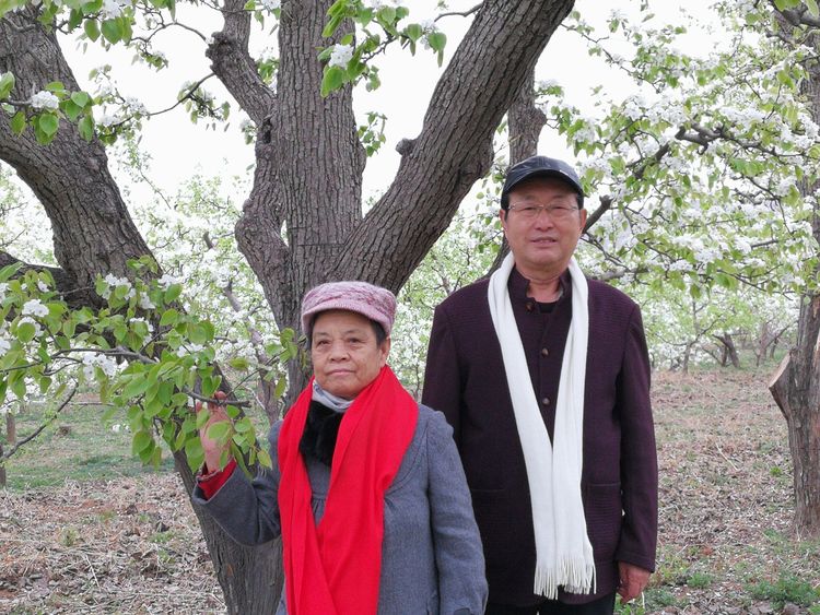 撰搞,摄影:元帅(曹贺龙 鸣谢:遵化市东城热力有限公司 遵化市燕山诗