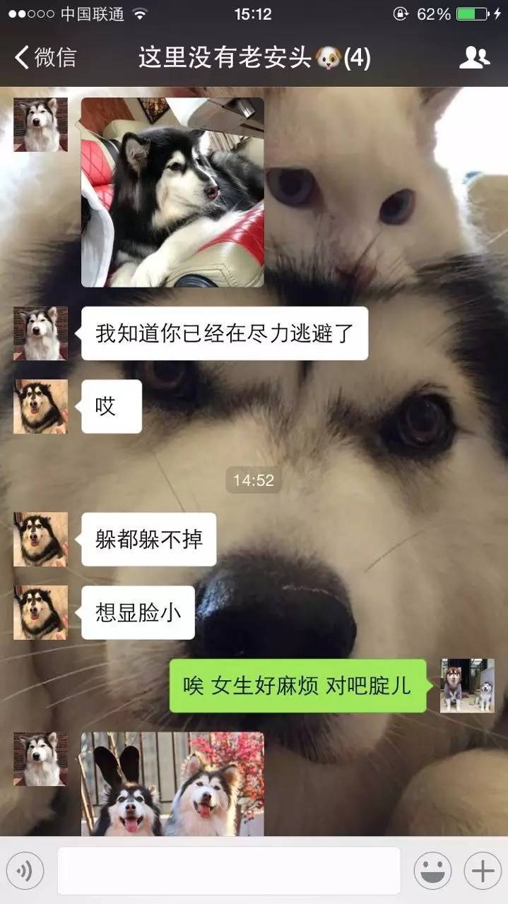 微信家庭会议| 细数某直男安的自拍照