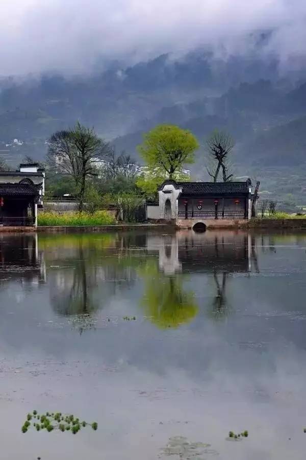 千里莺啼绿映红,水村山郭酒旗风