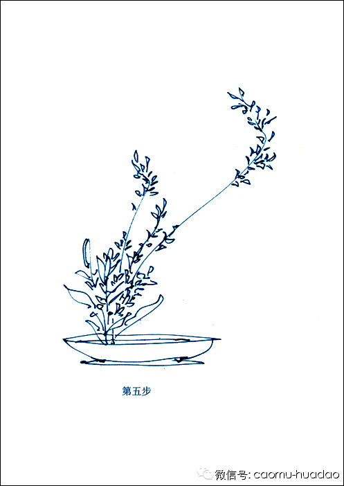 看图学插花—中式插花图解