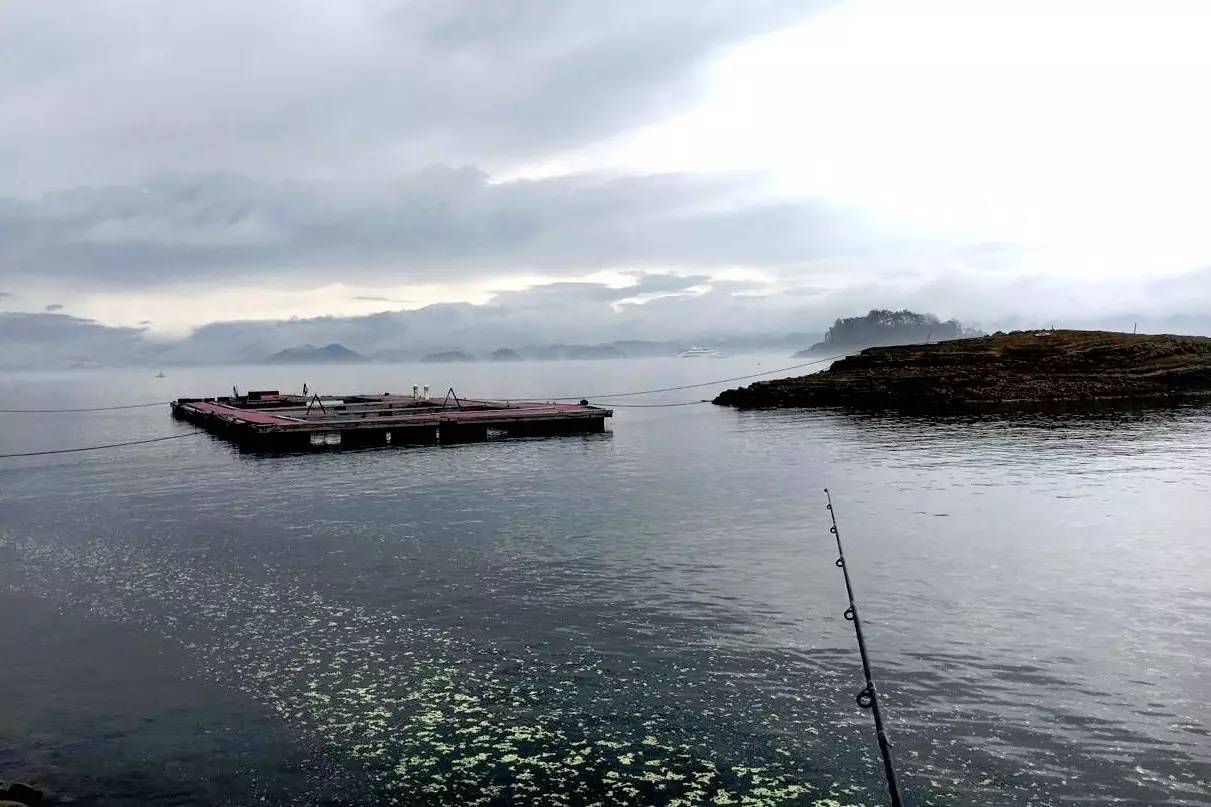 千岛湖多少人口_千岛湖风景图片