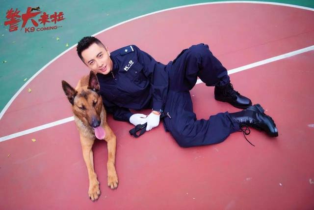 谷锦云:万能派出所,《警犬来啦》拒绝"血淋淋"