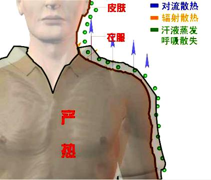 人体感觉最舒适的温度_休闲生活电脑桌面壁纸图片