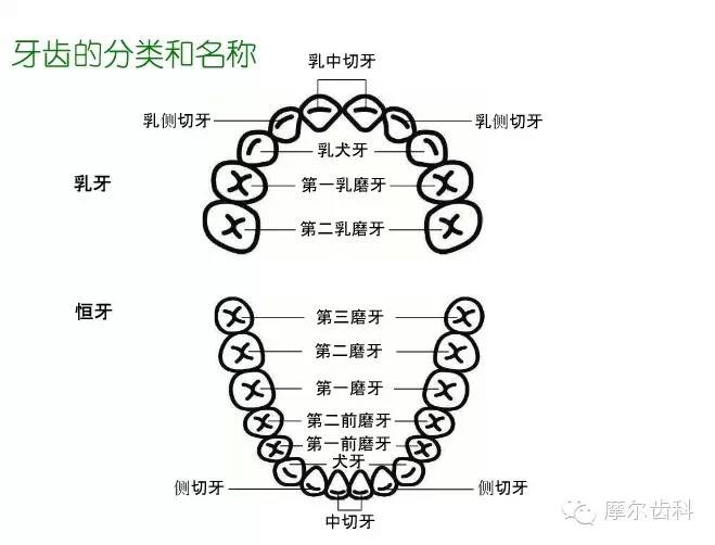 广    而    告    之    kq88口腔医学网 口腔