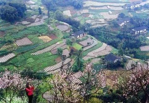 湖北农村人口_湖北农村户口要取消,农民的土地怎么办 红安人必看....