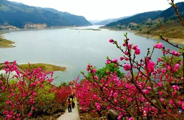 葫芦岛市有多少人口_葫芦岛市中心医院图片