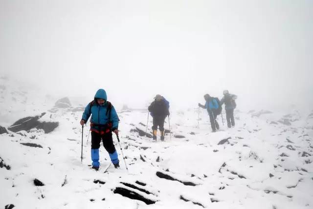 雪地中的艰难行走.