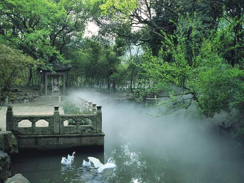 开在浙江首个城市湿地公园里的精品民宿