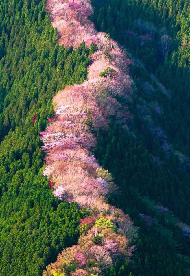 句容有多少人口_事发句容 惊险 摩托车与电三轮路口相撞4人受伤(3)