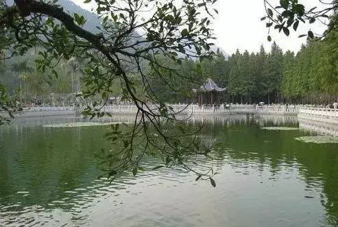 拟建的石皮山竹文化公园位于龙华区横坑水库东面,五和大道(在建)东侧