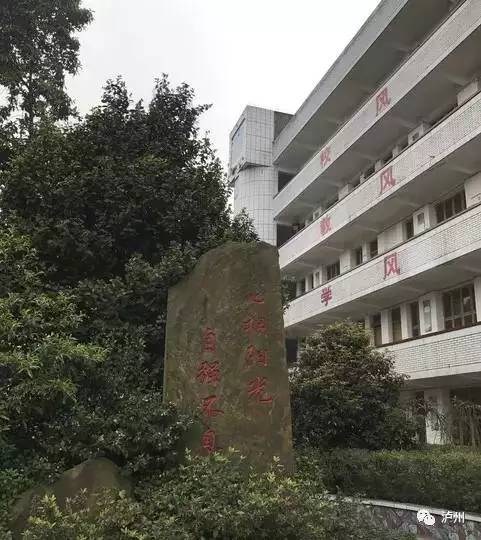 泸县太伏中学事件:你应该知道的真相!详细细节!