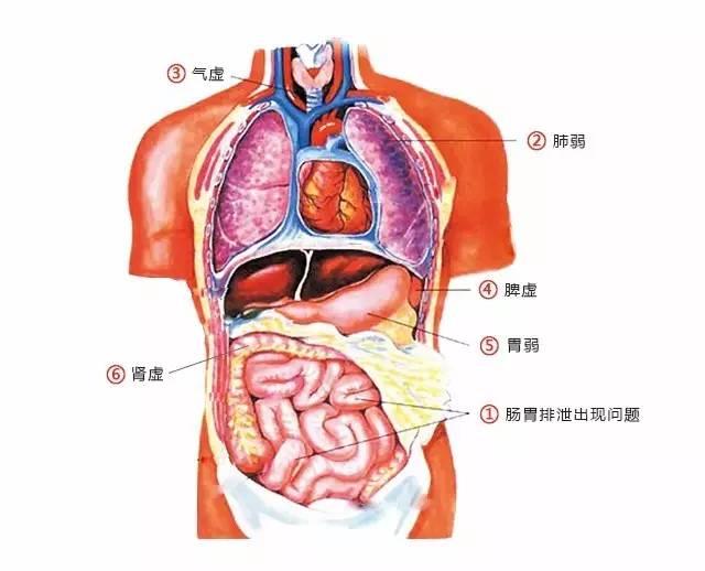 人身体内为什么会有湿气?