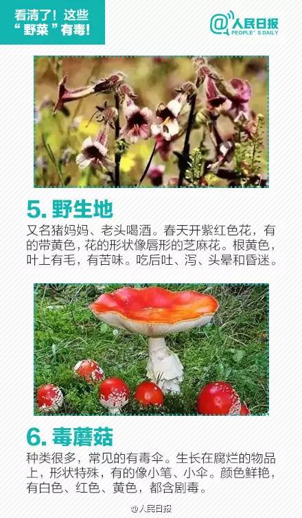 误食除草剂的菜怎么办