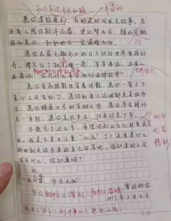 关于网络的作文