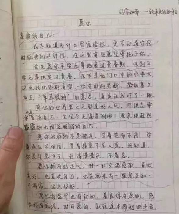 关于网络的作文