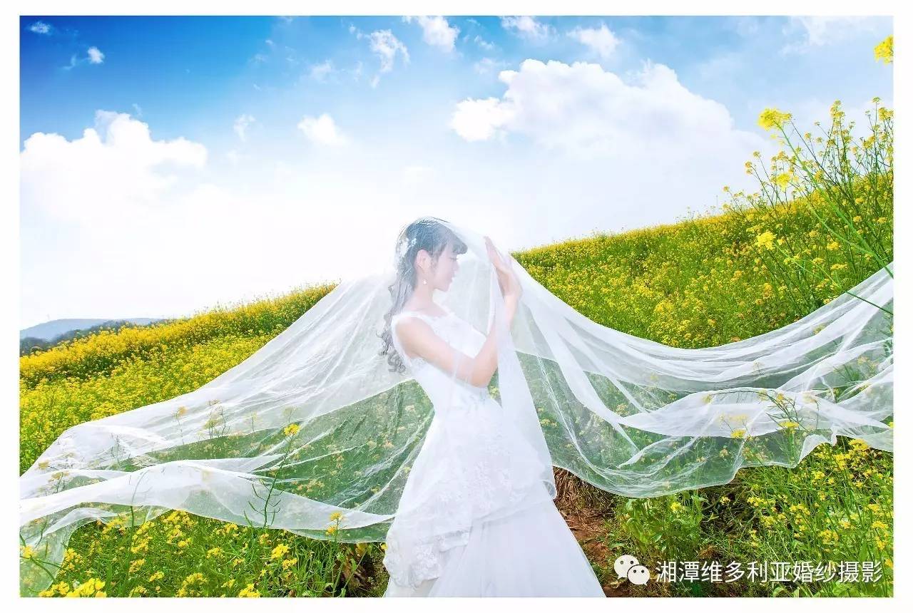 郑州定做婚纱的地方(3)