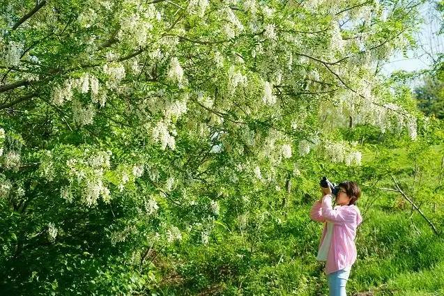 虹溪谷[槐花仙子入瑶池]实景