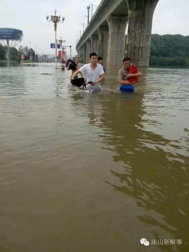 组图 一场雨后江夏及周边多处路段又积水成"海"