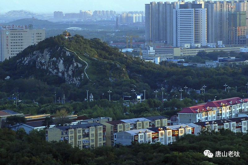 在16万人口小城市投资什么好_好项目投资小见效快