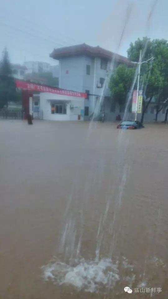 组图 一场雨后江夏及周边多处路段又积水成"海"