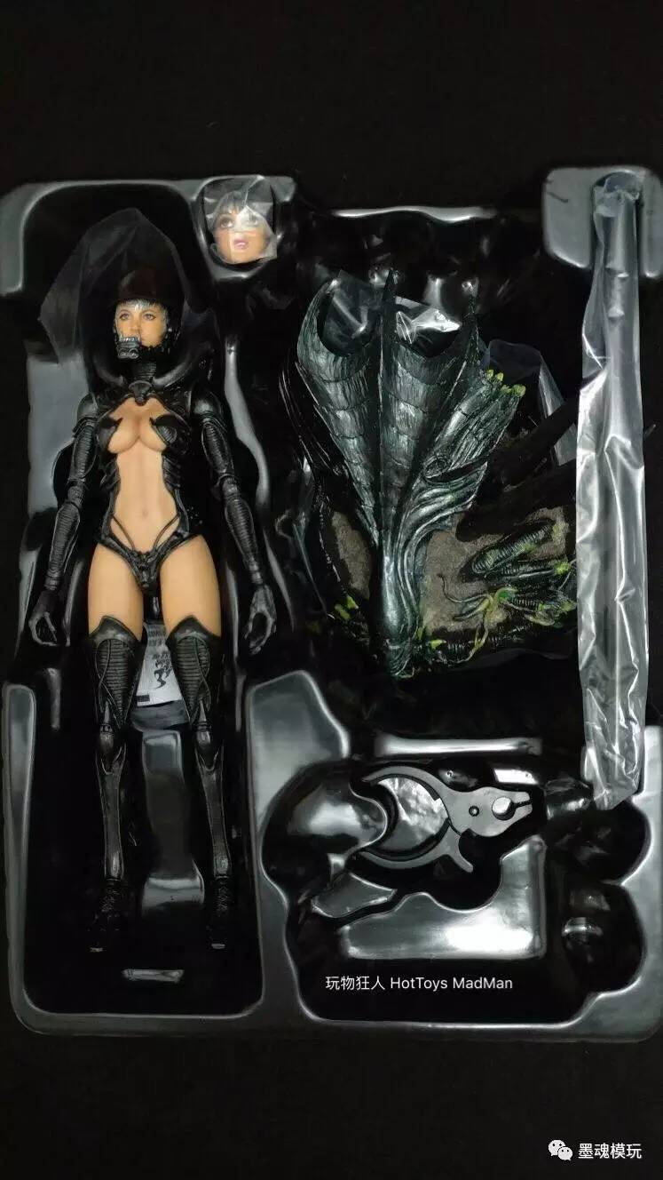 [评测] 多人开箱: hottoys 1/6 avp异形大战铁血战士-异形女/alien