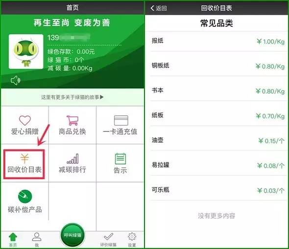 一只喜欢回收废品的"绿猫"来到身边,小东带你了解它