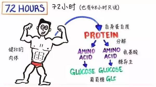 蛋白开线减肥的原理_减肥同时还想增加肌肉 高蛋白质摄入才是关键(2)