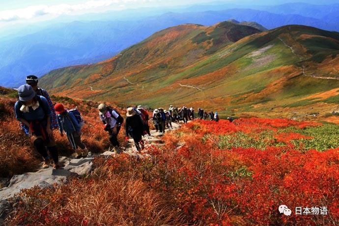 日本自然崇拜的奥秘:出羽三山丨日本旅行