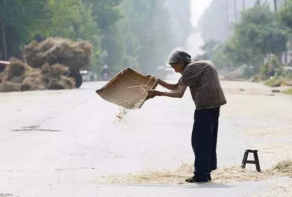 农村人口头禅_农村人图片