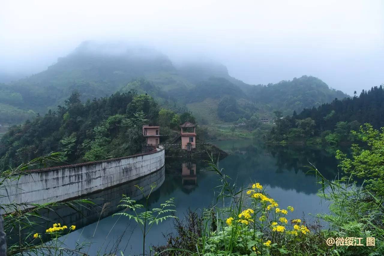 休闲绥江:会仪峰顶山,踏青赏花好去处