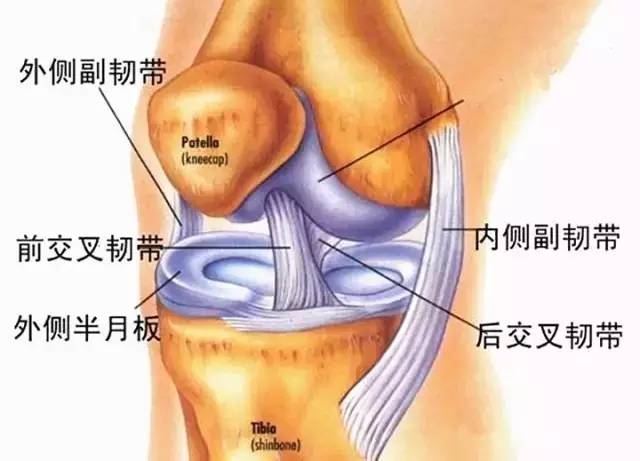 膝盖敷中药过敏怎么办