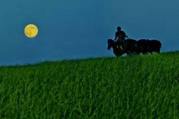 致敬经典|乌兰图雅《草原之夜》带你走进恬静深远的草原夜色中