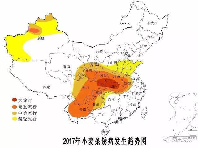 【农技】2017年全国小麦中后期主要病虫害发生趋势预报