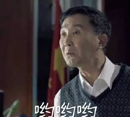 康达书记的gdp什么梗_达康书记的GDP让保姆来守护!