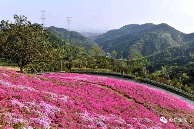 金屏人口_被全国压岁钱地图刷屏 金山人的吐槽实在太扎心