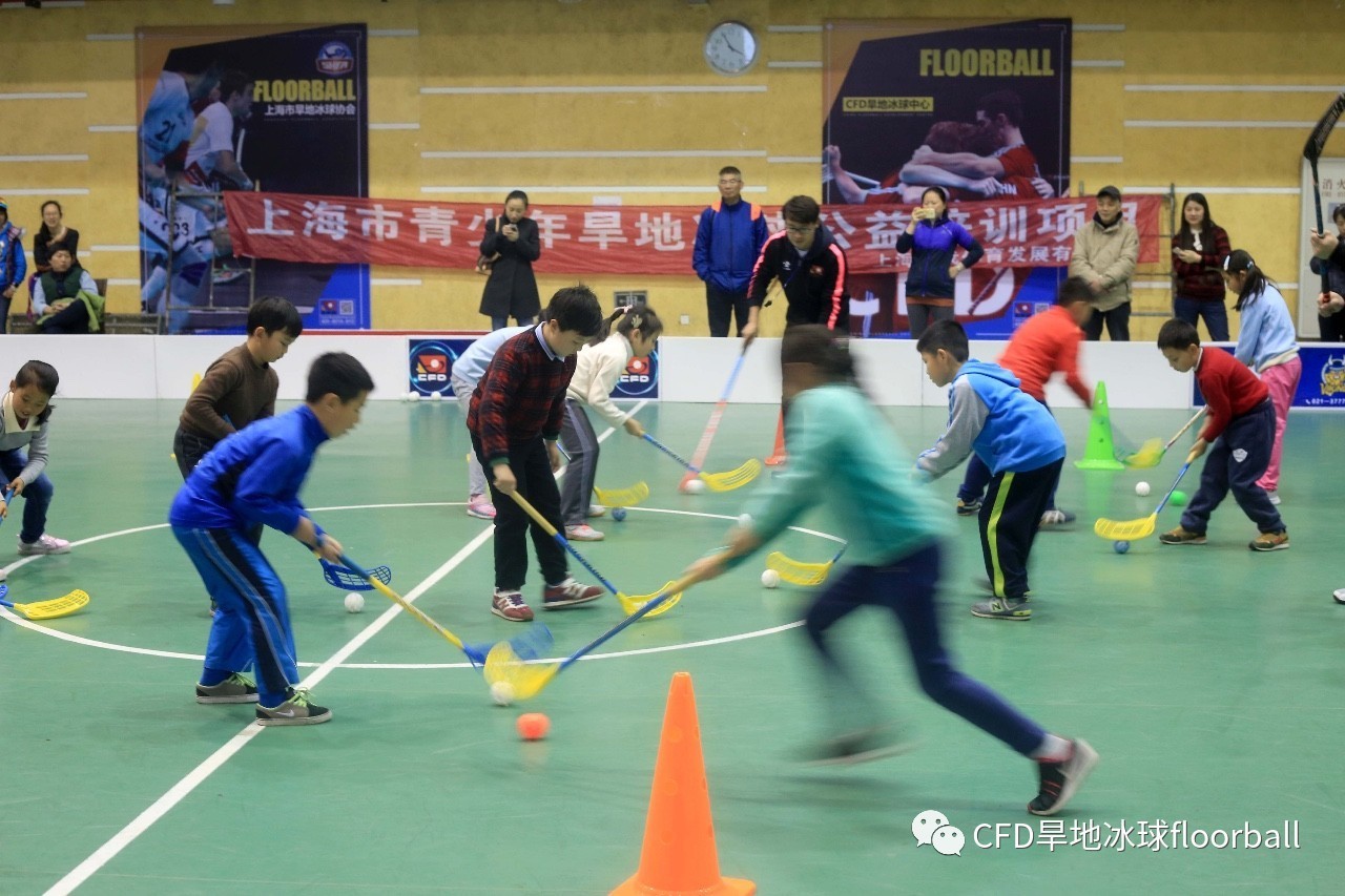 招募| 上海市青少年旱地冰球公益培训