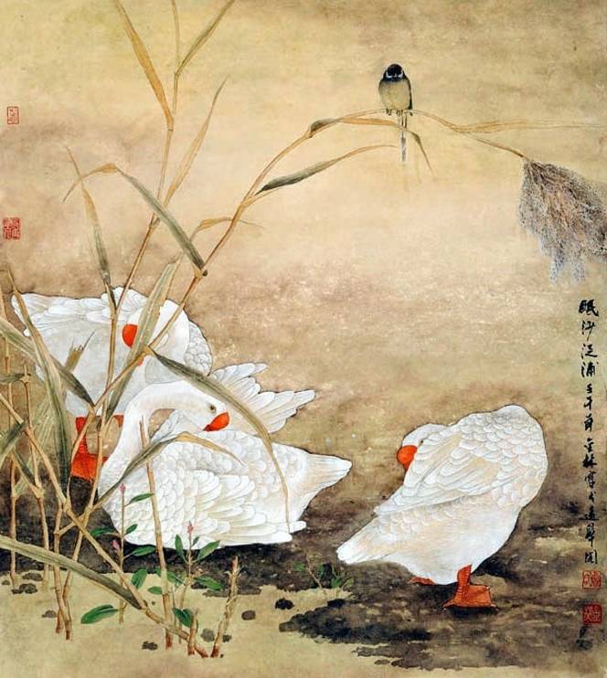 中国当代著名画家鲁金林工笔花鸟欣赏!