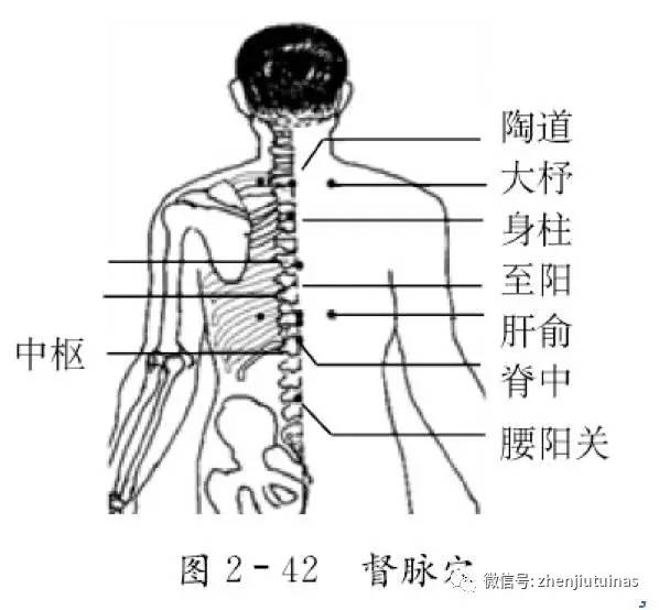 定位:均位于髂后上棘与后正中线之间,分别适对第1, 2.