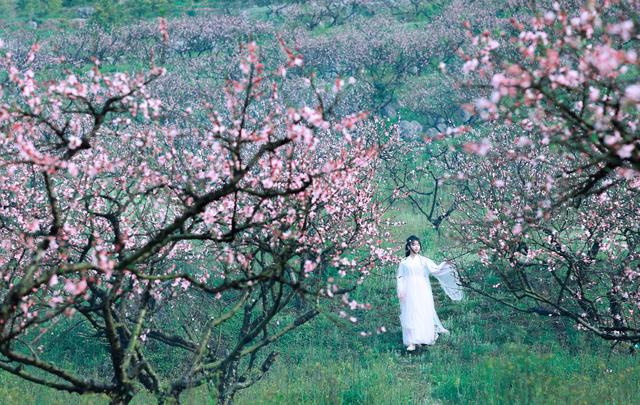 古装艺术照:三生三世十里桃花,美女写真