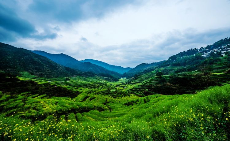 婺源篁岭