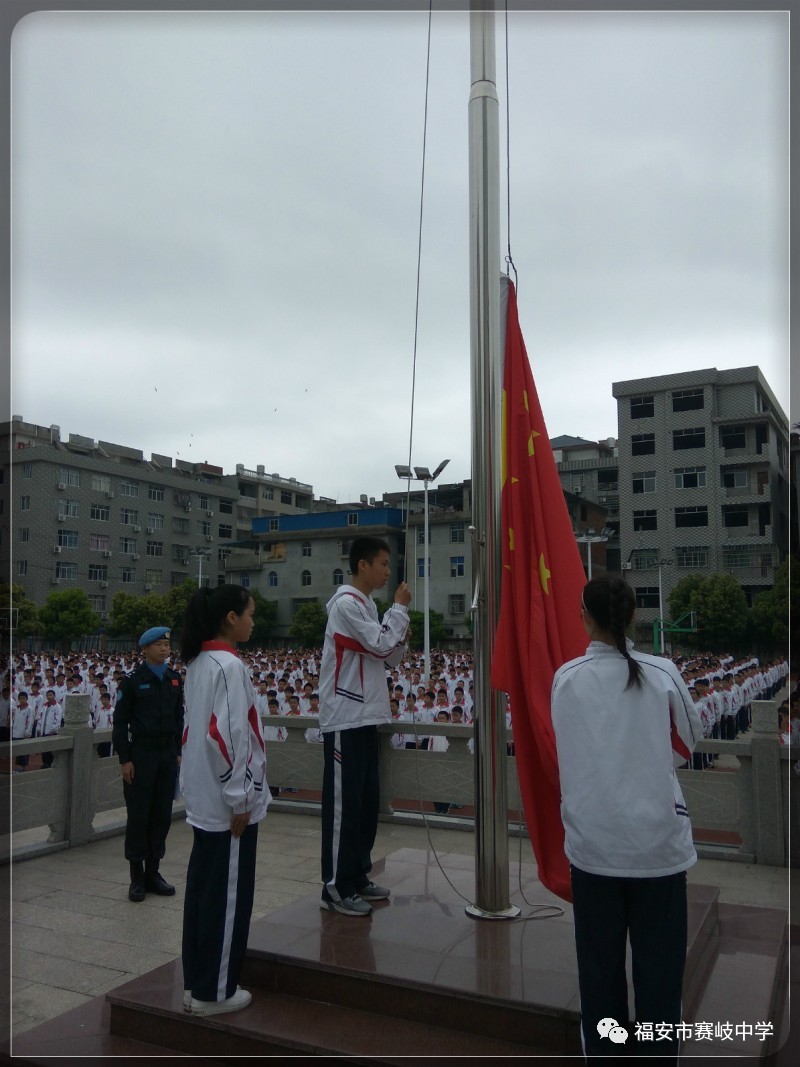 新密乱石坡村:从贫困村到"花田花海"村的变身