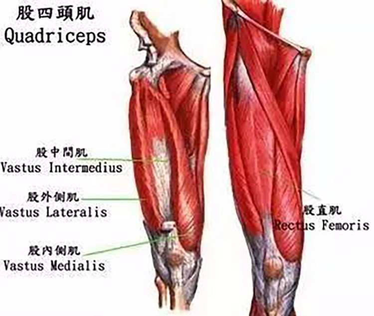 举个例子,大腿的内旋,会让膝盖外翻,导致膝盖前侧疼痛.