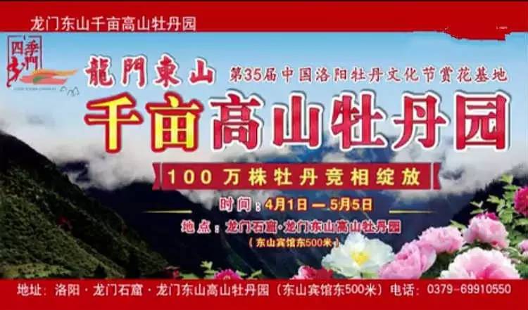 龙门东山高山牡丹园门票(资料图片,奖品以实物为准)大唐李治国牡丹瓷