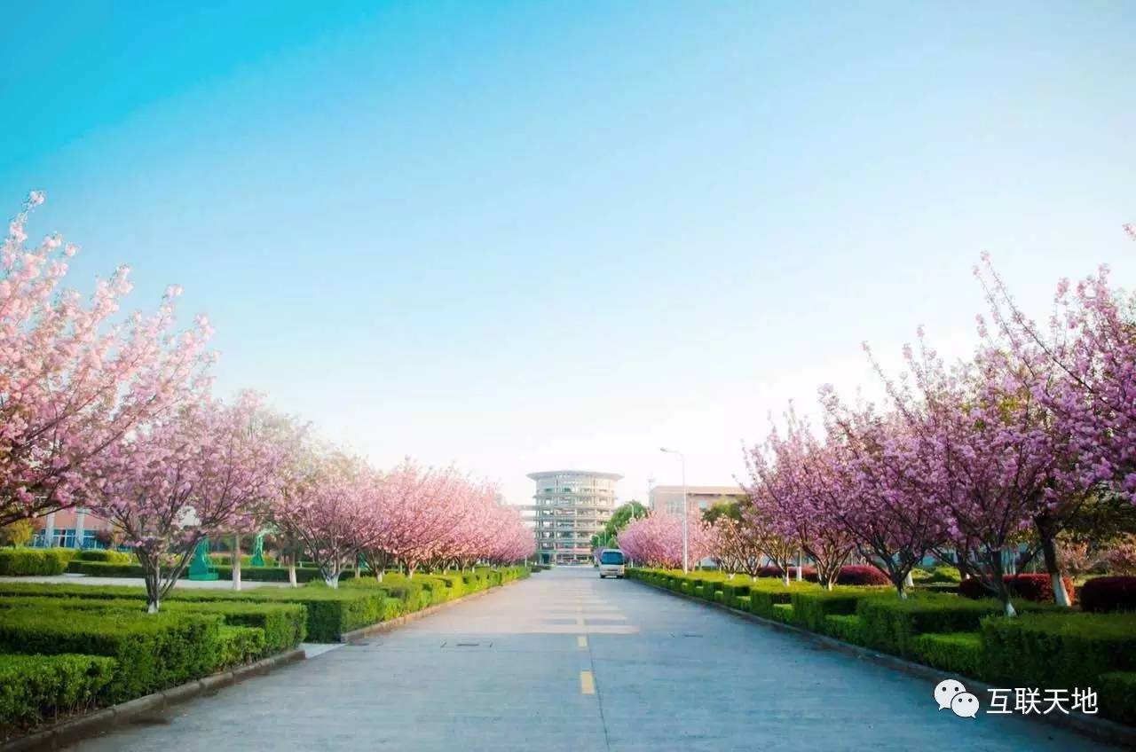 宁波大学入选浙江十大最美校园,这些象牙塔里的美学典范,不负你十年