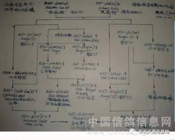 麦克斯简谱_麦克斯奥特曼