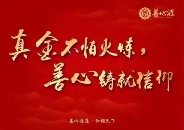 善心汇骗局新闻大曝光